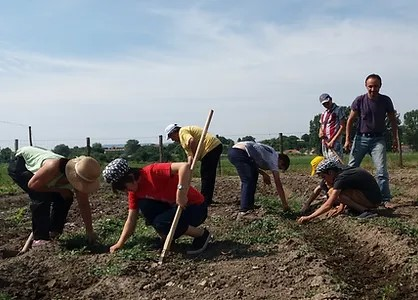 <strong>Botanika Life Foundation</strong>